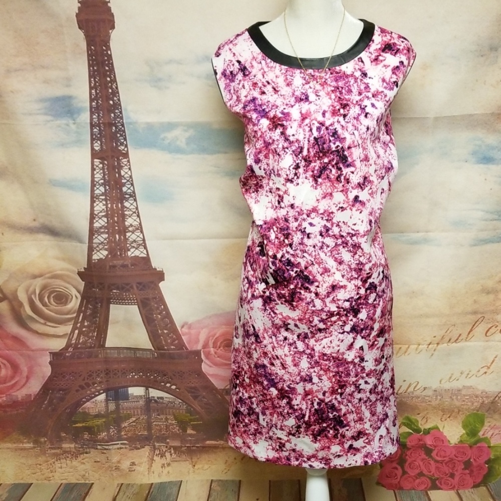 🍬 ➕ Lark & Ro sleeveless dress